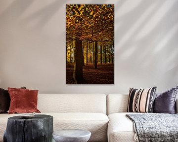 Beginning of autumn in the forest by Marjolijn van den Berg