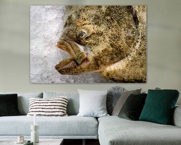 Head with mouth and eye of turbot on ice at the market by Dieter Walther