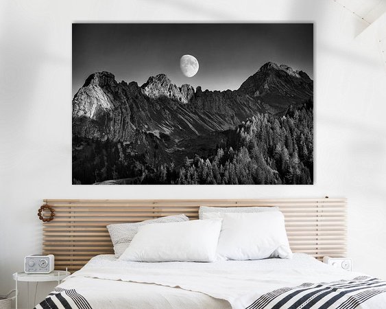 Aperçu de la chambre