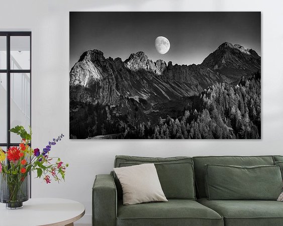 Aperçu de la chambre