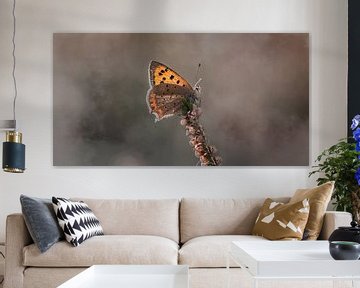 Firefly with misty background by KB Design & Photography (Karen Brouwer)