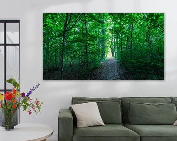 Vue panoramique de la lumière au bout d'un chemin dans une forêt verte sur Alex Winter