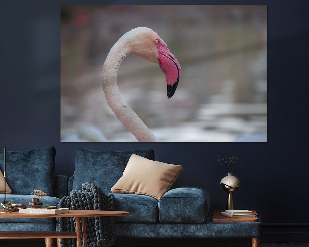 Raumvorschau