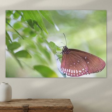 Vlinder in het groen