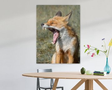 The beautiful fox by Larissa Geuke
