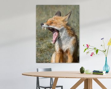 Der schöne Fuchs von Larissa Geuke