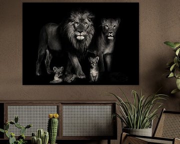 Lions family by Bert Hooijer