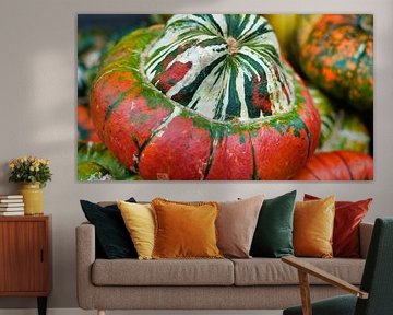 Colourful plants in autumn