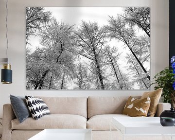 Dennenbomen in de sneeuw van Sjoerd van der Wal Fotografie