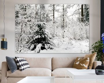 Snowy pine tree forest by Sjoerd van der Wal