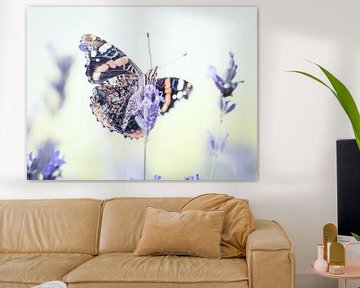 atlanta butterfly on lavender by natascha verbij