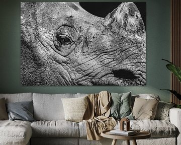 Portrait en noir et blanc d'un rhinocéros. sur Gianni Argese