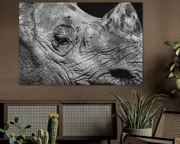 Zwart-wit portret van een neushoorn. van GiPanini