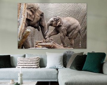 Moeder olifant en jong. van Gianni Argese