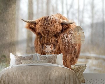 Schotse Hooglander in de sneeuw van Maria-Maaike Dijkstra