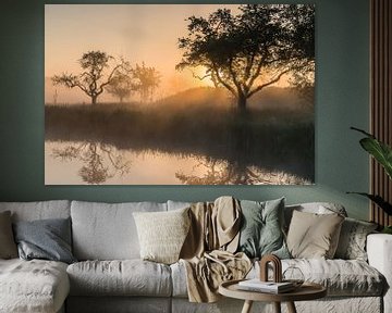 Lumière dorée lors d'une matinée magique au Werk aan de Groeneweg 3 sur Jeroen de Jongh