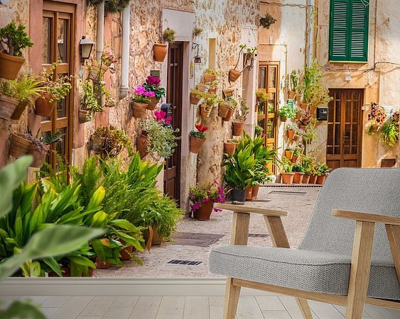 Aperçu de la chambre