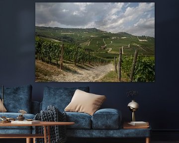View over hills and fields with vineyards Piemont, Italy by Joost Adriaanse