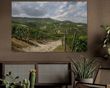 Blick über Hügel und Felder mit Weinbergen Piemont, Italien