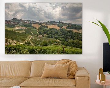 Vergezicht over heuvels en velden met wijnranken Piemont, Italie