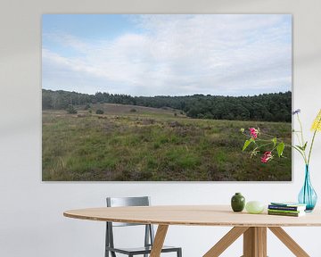 Blick auf die Heumense Schans von Jeroen Franssen