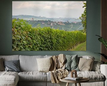 Heuvel met wijnranken, Piemont, Italie