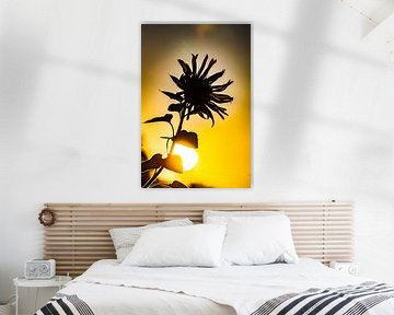 Sunflower, zonnebloem, zomer, summer van Frank Slaghuis