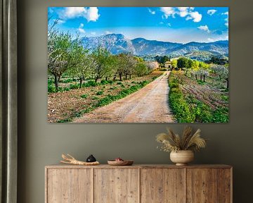 Beautiful spring day with idyllic island scenery on Mallorca, Spain by Alex Winter