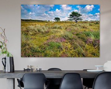 Paarse heide in het duin de Grafelijkheidsduinen van eric van der eijk