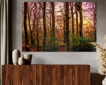 Magical Forest Sunset