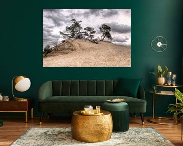 Fir tree on sand dune by Fotografie Arthur van Leeuwen