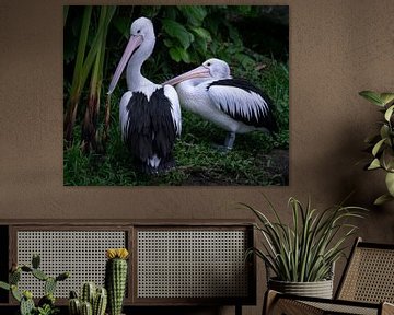 Pelicanen in een wildpark van Anges van der Logt