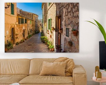 Beautiful alley in the mediterranean village Valldemossa on Mallorca island, Spain by Alex Winter