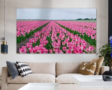 Tulpen op een rij van Alex Hiemstra