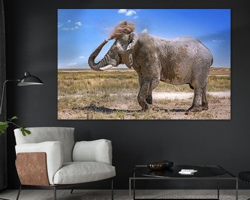 Grote olifant met stofwolk, Namibië