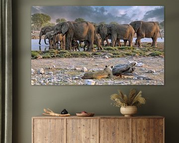 Leeuw bekijkt kudde olifanten, Etosha, Namibië van W. Woyke