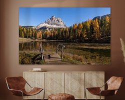 Aperçu de la chambre