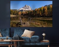 Aperçu de la chambre