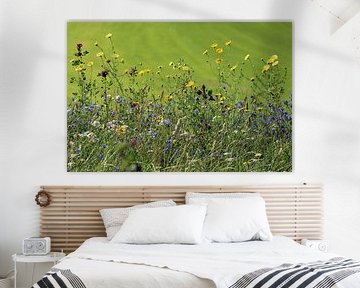 Fleurs sauvages sur l'accotement