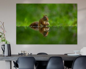 Squirrel by Apple Brenner