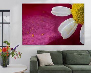 Makro einer Blume vor einem abstrakten Hintergrund von Stefan Zwijsen