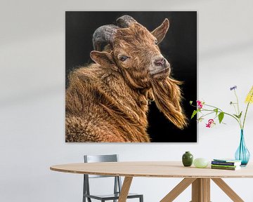 Portret van een bruine geit met een sik