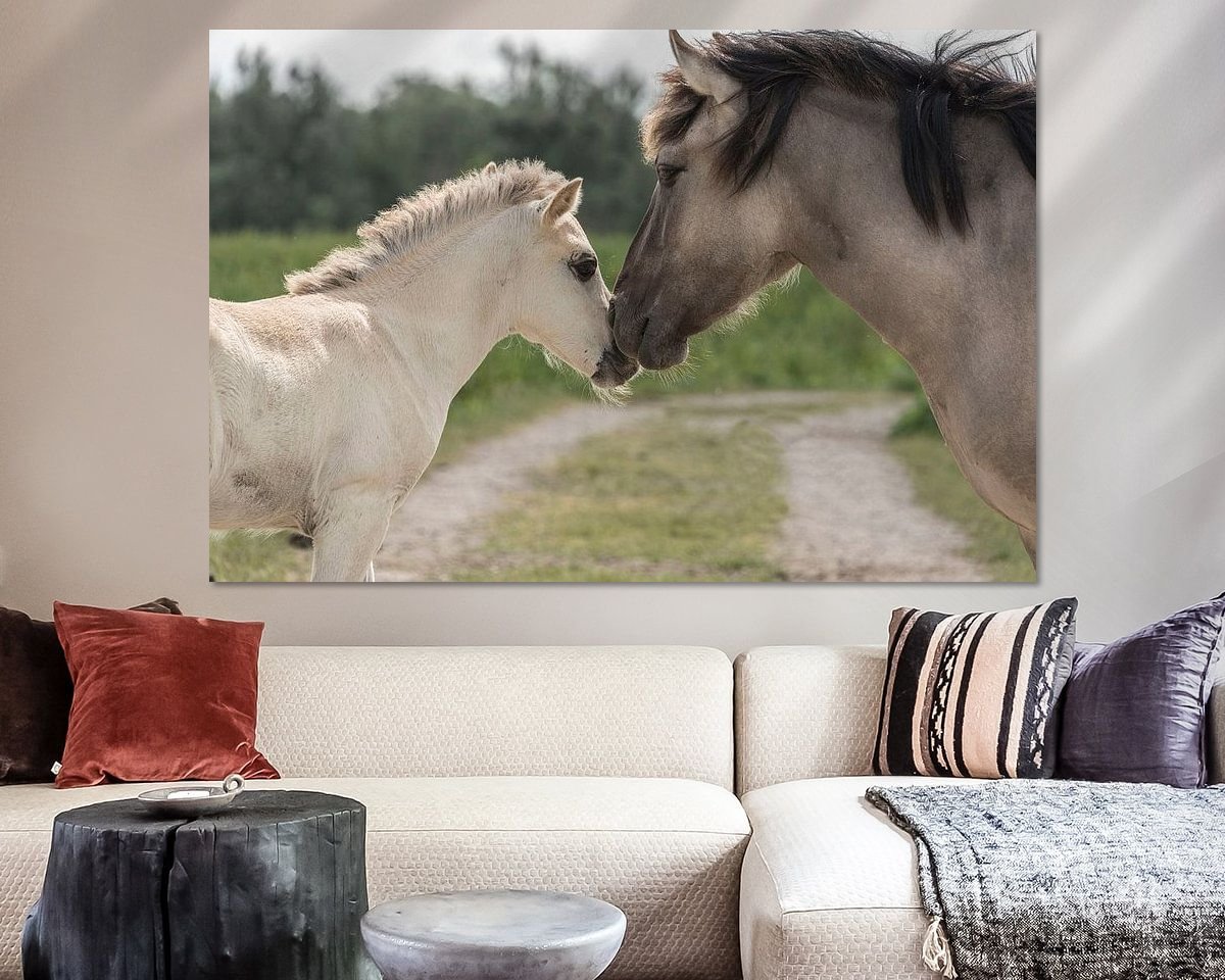 Raumvorschau