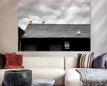 Seagulls on the forbidden roof by Pictorine