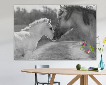 Horse with foal in black and white by Ans Bastiaanssen