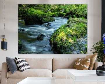 Fluss Trieb in einem Naturpark im Vogtland von Animaflora PicsStock