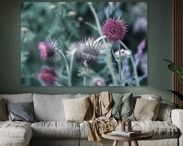 Wegdistel  met een zeegroen en dromerige achtergrond van Jolanda de Jong-Jansen