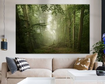 Dreamy Forest (dromerig bos) van Kees van Dongen