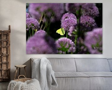 Summer full of butterflies (lemon butterfly) by Esther Wagensveld