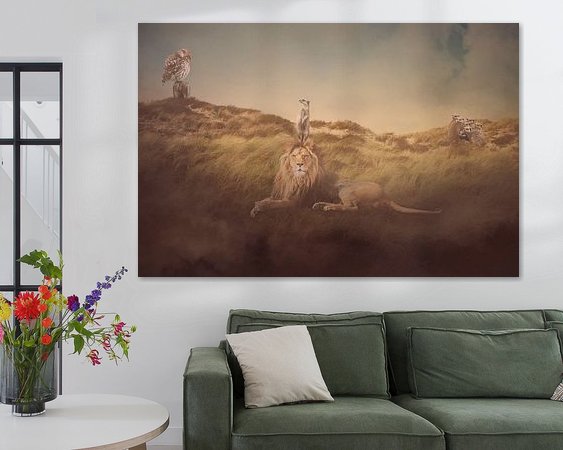 Aperçu de la chambre